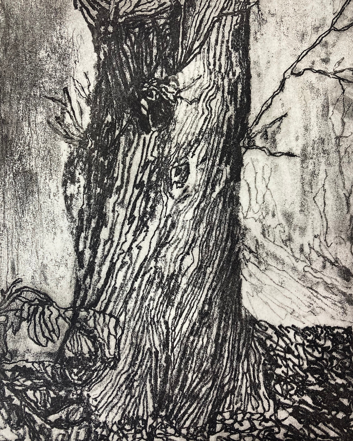 Sat 11th Oct 2025 - Etching taster session with Catherine Greenwood