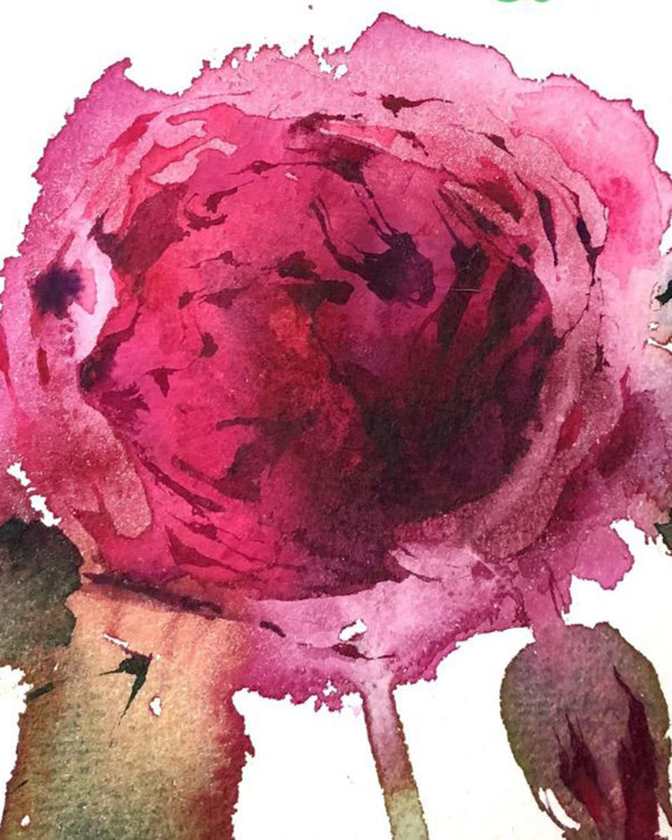 Sun 21st June 2026 - The High-Summer Garden watercolour workshop with Kate Osborne
