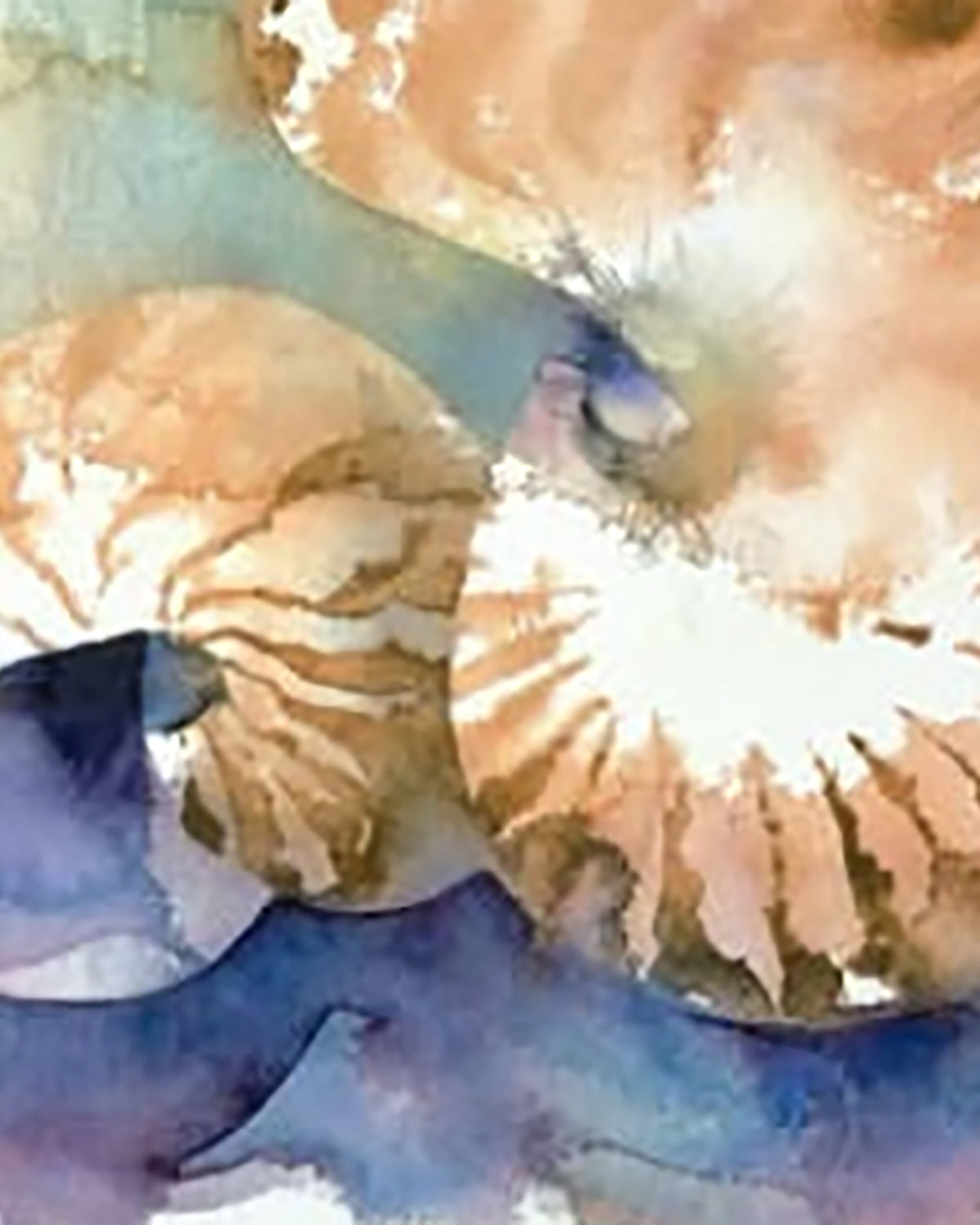 Sat 15th Nov 2025 - 'Sea & Shore' Watercolour Workshop with Kate Osborne