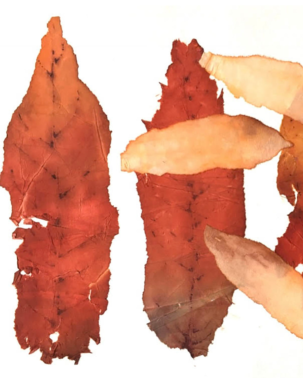 Late Autumn Watercolour Sketchbook Workshop with Kate Osborne